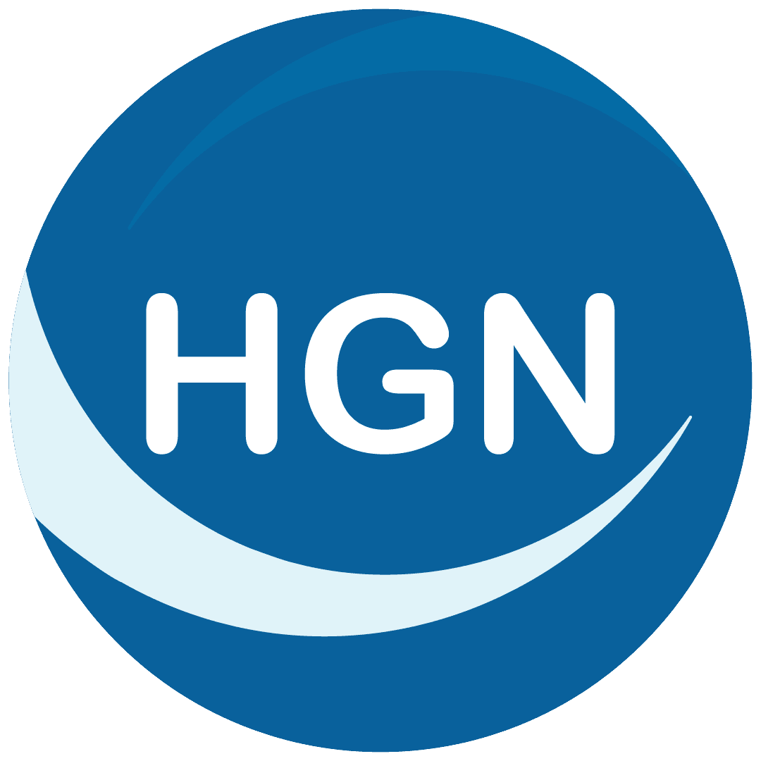 Hire Globally Now logo - Connecting companies with the right talent
